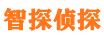 江海市私家侦探